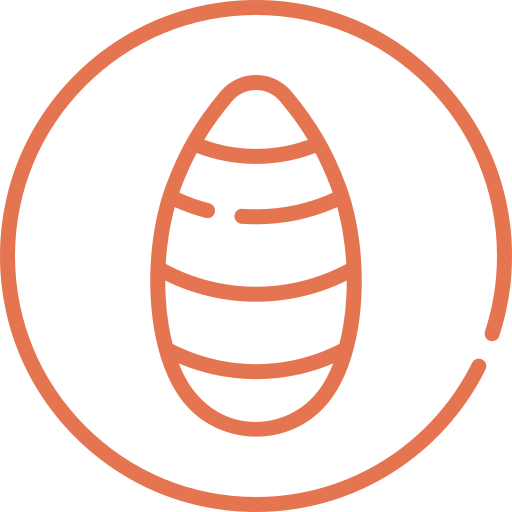 seda.png__PID:8ef72f6a-3242-41e4-b1fe-5efd9edc84ae